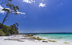 Hyams Beach, Jervis Bay. Picture; Andy Hutchinson